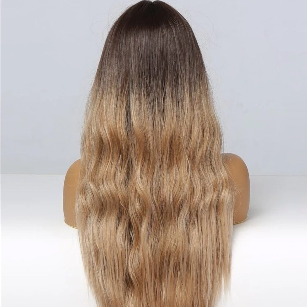 Brand new Ombre long wig